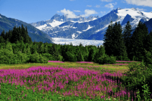 Silversea Luxury Cruises - Juneau, Alaska